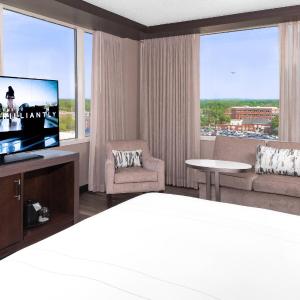 Larger Guest room, 1 King