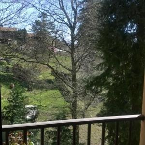 Double or Twin Room with Garden View