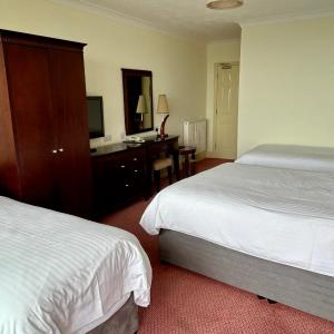 Superior Family Room (2 Adults + 2 Children)