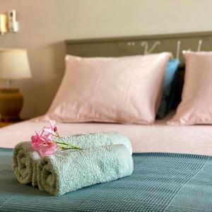 Deluxe Double or Twin Room with Garden View