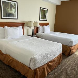 Double Room with Two Double Beds - Non-Smoking