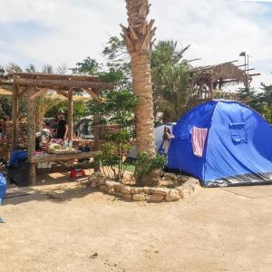 Empty Lot (Bring your own Tent)