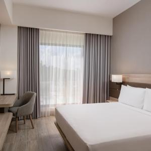 Deluxe King Room with Garden View