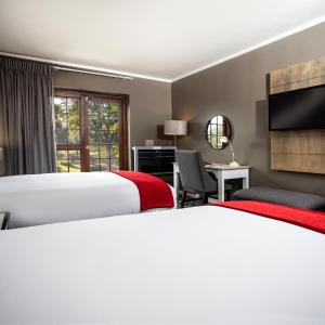 Superior Double or Twin Room with Pool View