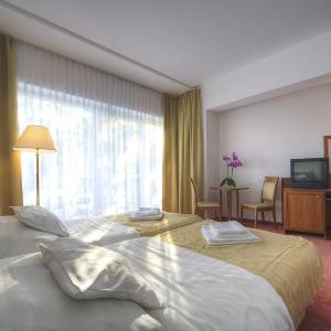 Superior Double Room with Balcony