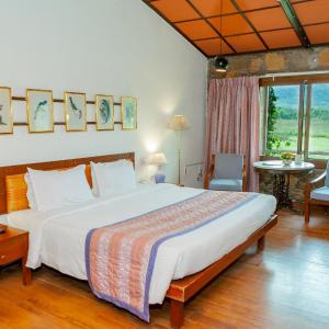 Deluxe Room Lake Facing