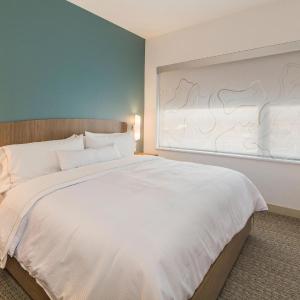 One-Bedroom King Suite with Sofa Bed and Roll-in Shower - Mobility and Hearing Accessible