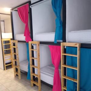 Bunk Bed in Female Dormitory Room  