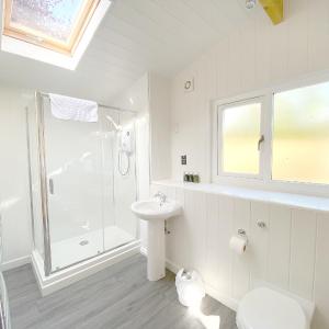 Studio with Garden View