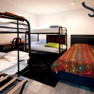 Bunk Bed in Mixed Dormitory Room