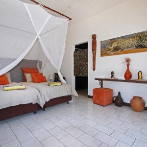 Twin Room - Leopard