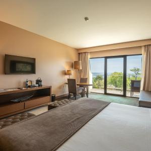 Premium Double or Twin Room with Pool View