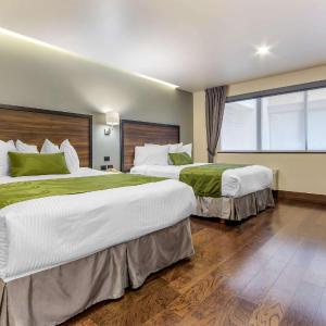 Queen Room with Two Queen Beds - Disability Access/Non-Smoking