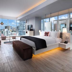 Urban King Suite with Partial City View
