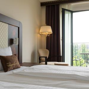 Deluxe Double or Twin Room with River View