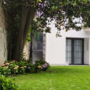 Studio with Garden View