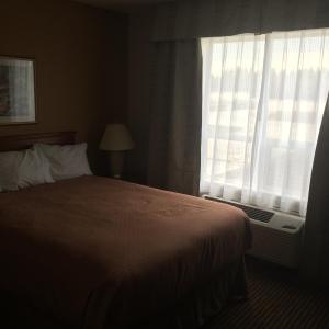 Queen Suite