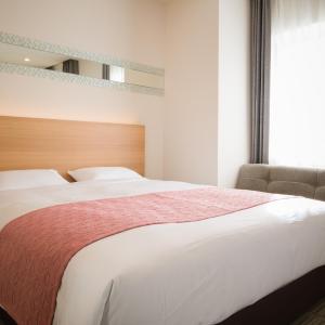 Deluxe Double Room with Extra Bed 17㎡