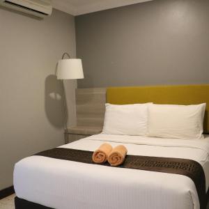 Superior Queen Room