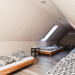 Mixed Dormitory Room