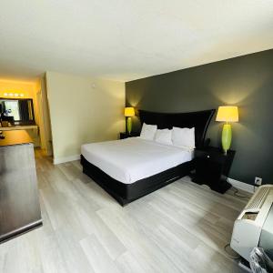 King Room - Accessible/Non-Smoking