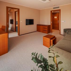 Deluxe Suite with Free Wellness Entrance