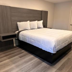 Superior King Suite