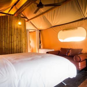 Deluxe Savanna Tent