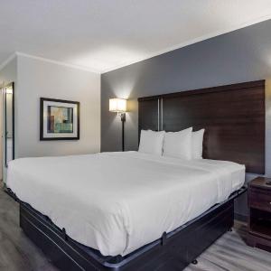 Superior King Room - Non Smoking
