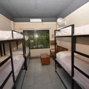 6-Bed Mixed Dormitory Room