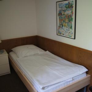 Budget Single Room