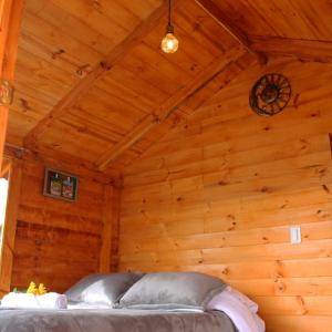 One-Bedroom Cottage