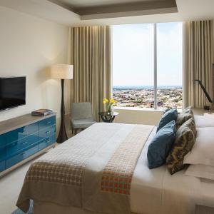 1 Bedroom Residence, 1 King