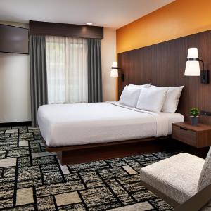 Two-Room King Suite with Sofa Bed, Living Room and Wet Bar - Non-Smoking