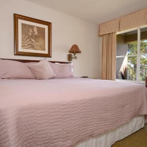 Deluxe One-Bedroom Suite with Balcony
