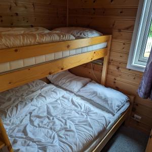 Cabin with Shared Shower (5 Adults)