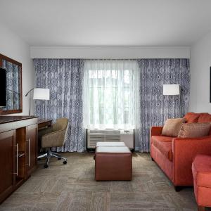 One-Bedroom King Suite - Non-Smoking