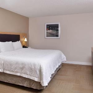 Business King Suite with Sofa Bed - Non-Smoking