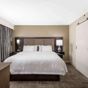 One-Bedroom King Suite - Non-Smoking