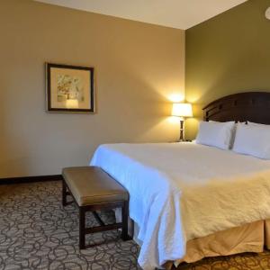 King Room with King Bed - Non-Smoking