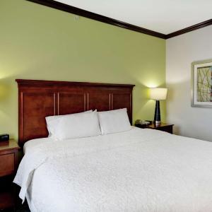 King Studio Suite with Sofa Bed - Non-Smoking