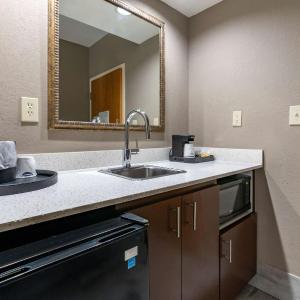 King Studio Suite with Sofa Bed - Non-Smoking