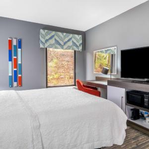 Deluxe King Room with Walk-In Shower