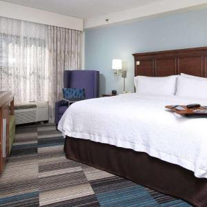 One-Bedroom King Suite with Sofa Bed - Non-Smoking