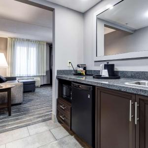 Non-Smoking King Studio Suite with Sofa Bed