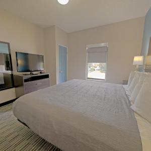 One Bedroom King Suite with Sofa Bed
