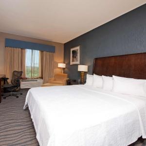 King Room with Bath Tub - Mobility Access