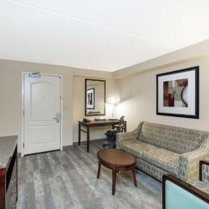 One-Bedroom King Suite