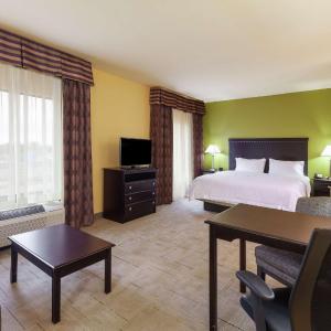 King Studio Suite with Sofa Bed - Non-Smoking