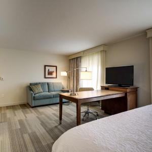 King Studio Suite